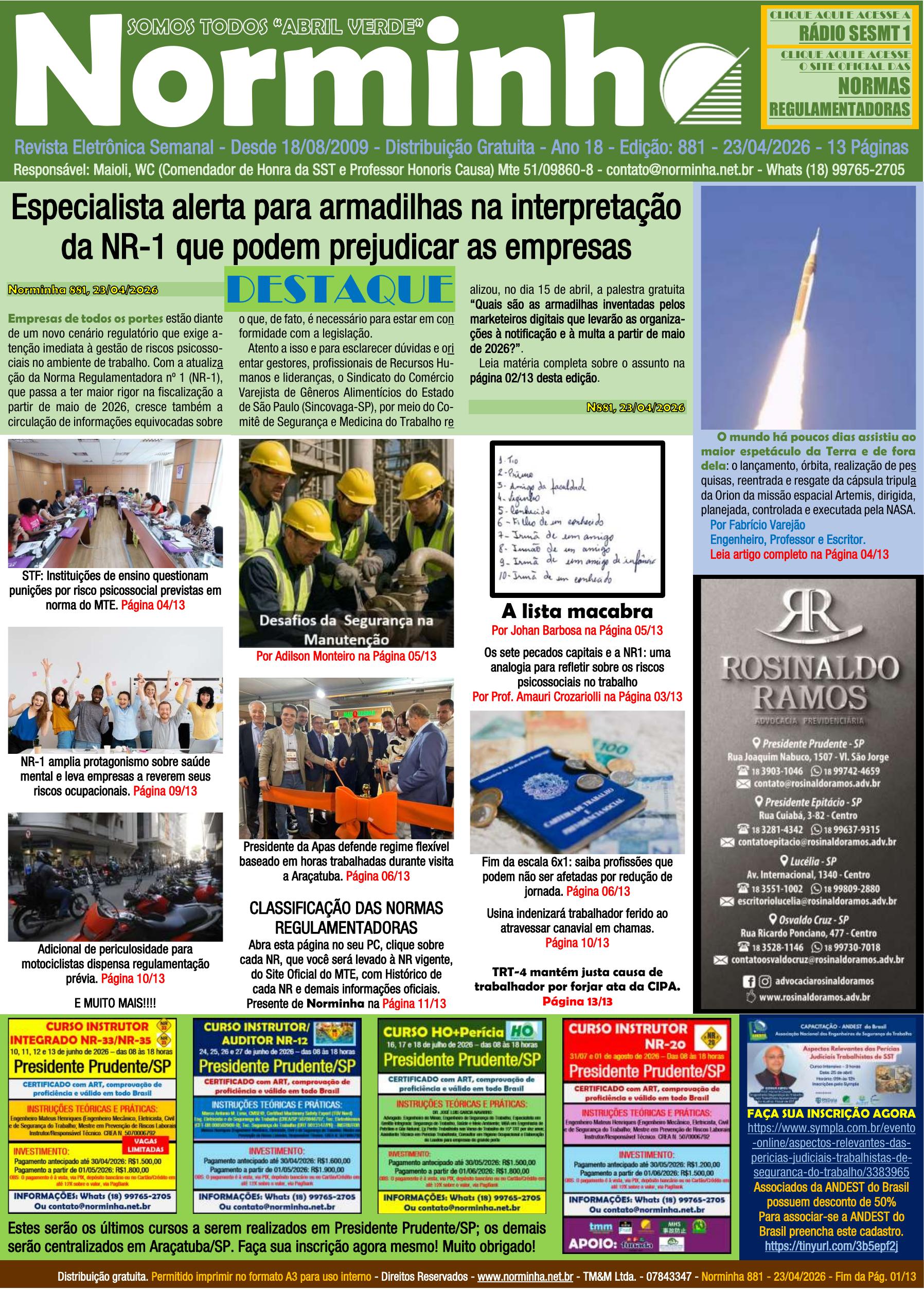 Norminha 881
