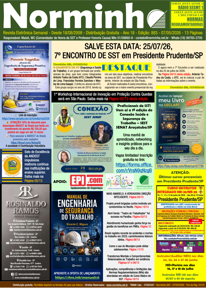 Norminha 883